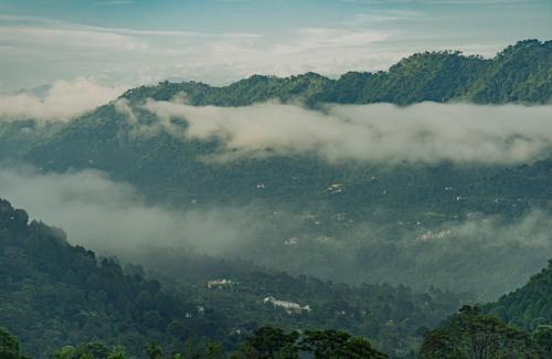 Dharampur Apartment | Kasauli Trails and tracks