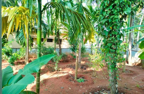 Udupi Apartment | Krishna Kunja