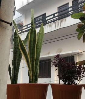 Allahabad House | Kumbh room