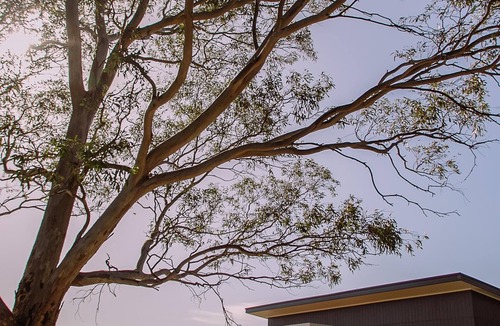 Willunga House | Little Lodge ~ Willunga - A Charming Little Cottage