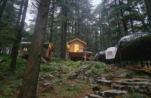 Dharamkot Resort | log hut dharamkot