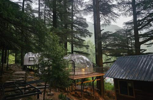 Dharamkot Resort | log hut dharamkot