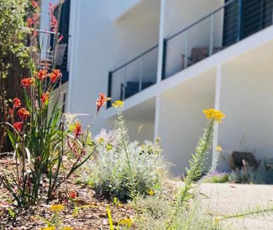 Lorne Apartment | Lorne Surf Apartments