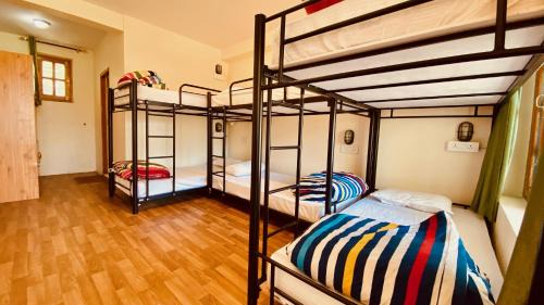 Old Manali Hostel | Madpackers Manali