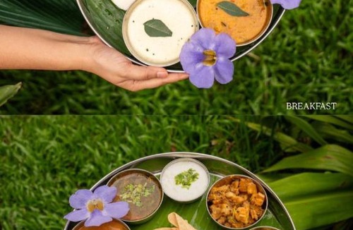 Auroville Villa | Mango Orchards Two