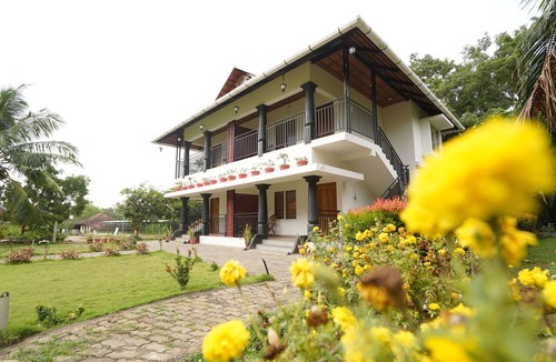 Chittur Resort | Mango Village