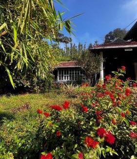 Thavinhal House | Massbungalow