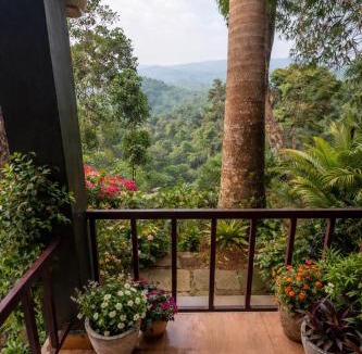 Devikolam Cabin | Misty D Silver