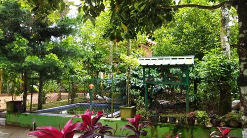 Sulthan Bathery Resort | Misty Slope