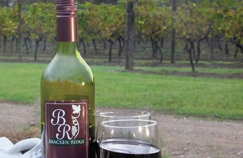 Lovedale Apartment | Molly Morgan Vineyard Villa Shiraz. Couples Retreat in the Hunter