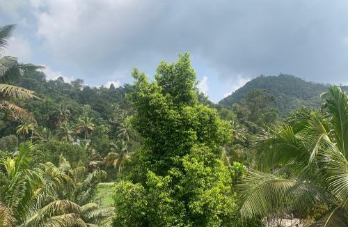Devikolam House | MUNNAR FALCUNS