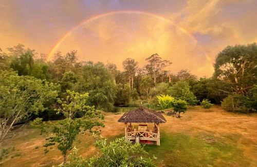 Swan Bay House | Nutshell Cottage - Totally Dog Friendly