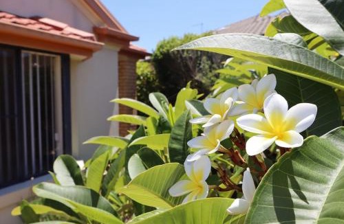 Yamba House | Oceania Cottage- Stone Real Estate Yamba