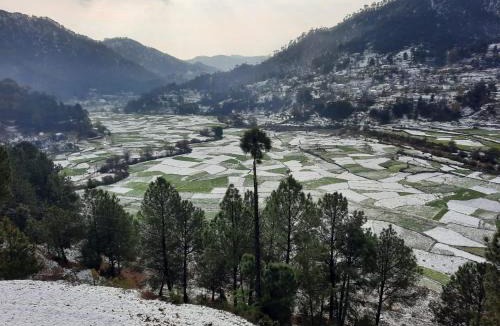 Majkhali House | Odyssey Stays Kausani