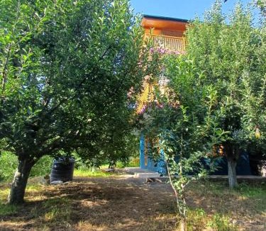 Manali House | Orchard Bliss
