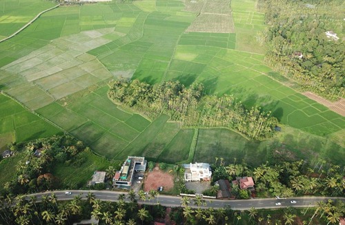 Mananthavady Bed & Breakfast | Paddyfield Inn