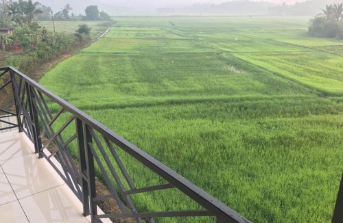 Mananthavady Bed & Breakfast | Paddyfield Inn