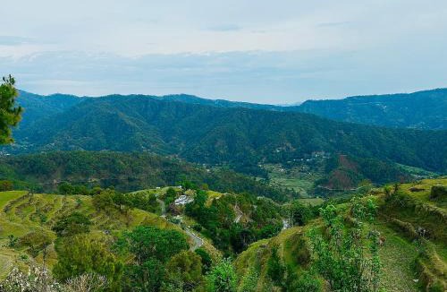 Almora House | Pahadi Pause