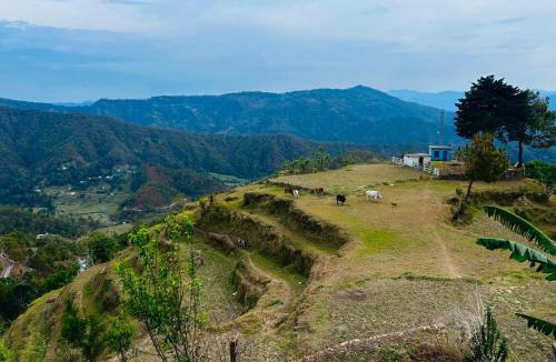 Almora House | Pahadi Pause