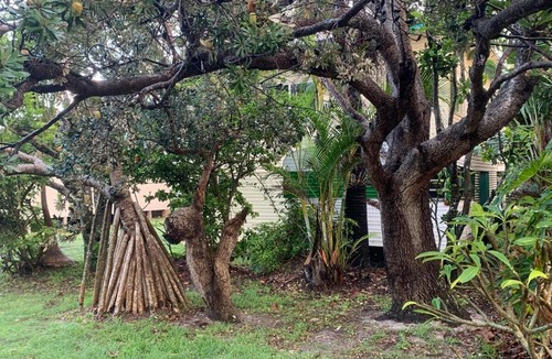 Patchs Beach Apartment | Patchs Beach Shack