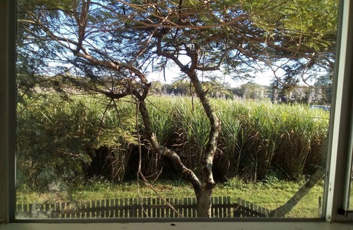 Kuttabul Apartment | Pet friendly ground level of 2-storey house with rural views