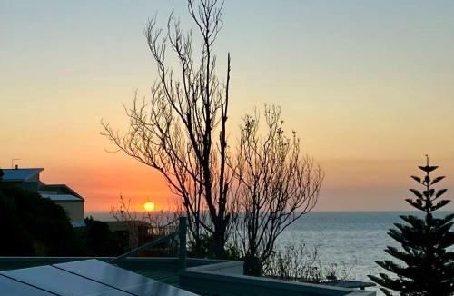 Frankston House | Pudding's Home Seaview Sanctuary at the Beach