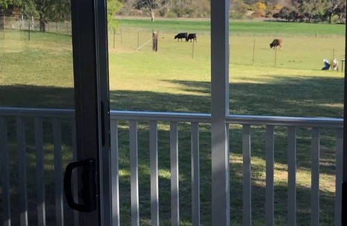 Saumarez Ponds Cabin | Purpose Built Farm Stay Cottage