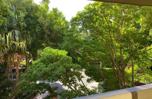 Erskineville Apartment | Quiet and convenient