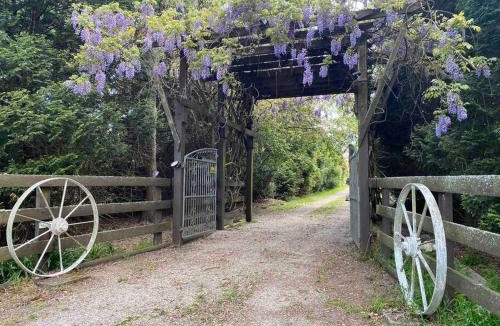 Burrawang House | Relaxing at acreage farmhouse
