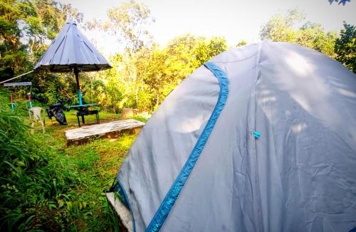 Chithirapuram Hotel | River Misty Munnar