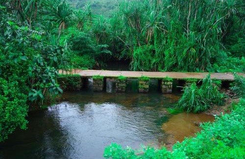 Elappara Hotel | River side
