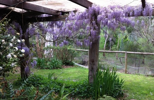 Talunga House | Romantic Loft Stays - Adelaide Hills - Randell's Mill - Wineries