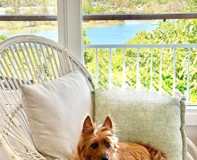 East Ballina Apartment | Seaview - Pet-Friendly - Panoramic Ocean Views - Opposite Shaws Bay - East Ballina