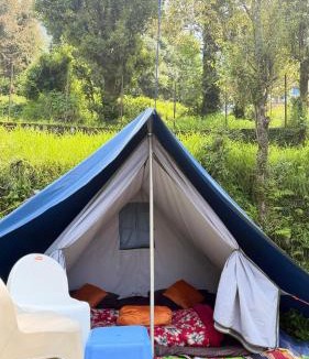 Dharamshala Other | Shaant pahadi CampsnCafe