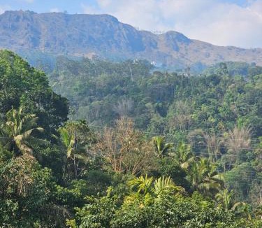 Chithirapuram Resort | Skylofte Resorts Munnar