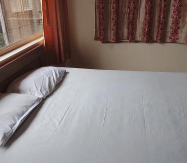 Udupi Hotel | Sohan Boarding and Lodging