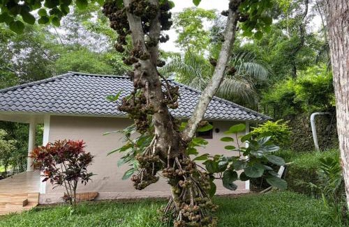 Elappara Hotel | Sumeru valley vagamon