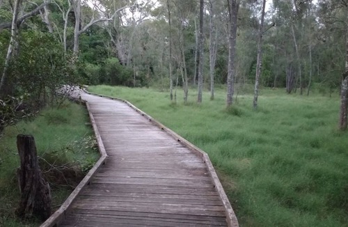 Murrumba Downs House | Sunsets views by the infinity pool overlooking a Koala Eucalyptus Reserve.