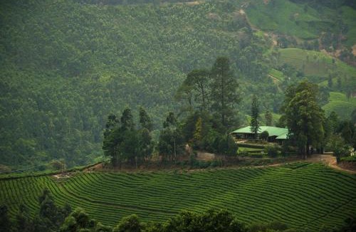 Kannan Devan Hills Hotel | Talayar Valley Bungalow
