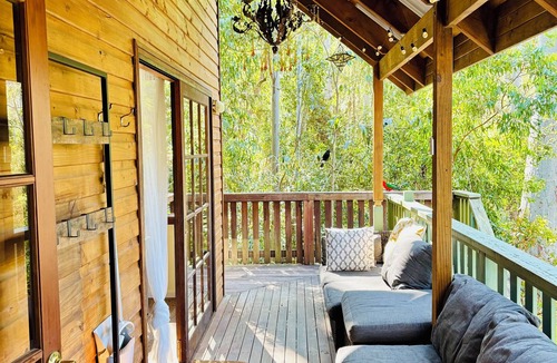 Salisbury Cabin | Tallgums - Immerse Yourself in Ancient Rainforest