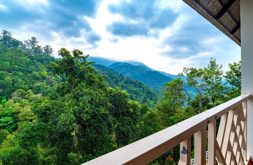 Chithirapuram Hotel | Tea Harvester Munnar