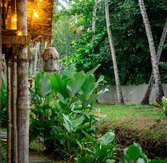 Varkala Bed & Breakfast | TempleTree Inn