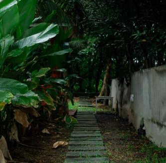 Varkala Bed & Breakfast | TempleTree Inn