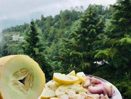 Ramgarh Apartment | The Alpine Ramgarh