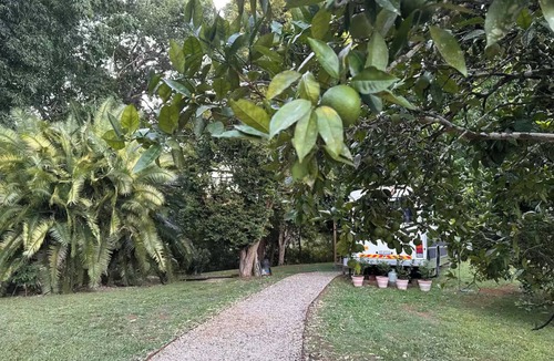Bellingen Cottage | The Bello BigRig - Luxury Riverfront Bus Conversion, close to town, pet friendly