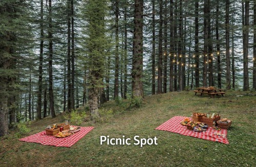 Shimla Hotel | The Hamilton Valley View, Koti - A Beautiful Resort in Cloud's
