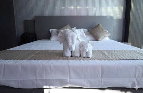 Rajgir Hotel | The Mount View