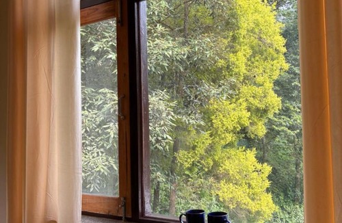 Naukuchiyatal Cabin | The Pause House