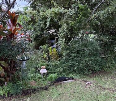 Coffs Harbour Apartment | The singing frogs studio