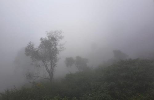 Yercaud Hotel | The Sky View Resorts - Yercaud